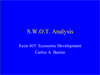 fin_SWOT1.ppt (0,1M)
