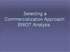 fin_SWOT2.ppt (0,1M)