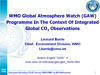 gen_co23.ppt (2,0M)