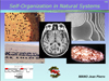 gen_selfnature.ppt (2,9M)