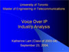 gen_voip.ppt (0,4M)