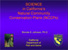 inf_snf26.ppt (2,9M)