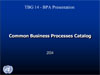 org_gbp11.ppt (0,8M)
