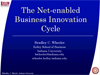 sal_innovationit.ppt (0,6M)