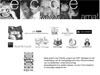 tra_intra24.ppt (3,5M)